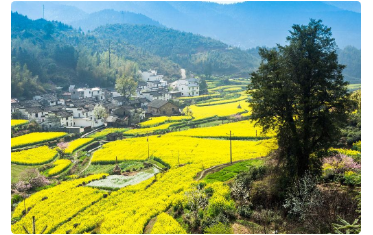 春生夏长秋收冬藏是什么意思？