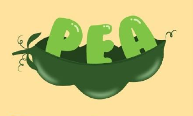 豌豆用英语说