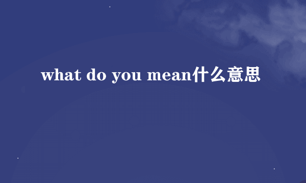 what do you mean什么意思