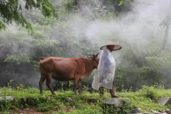 人生四大喜事是什么?