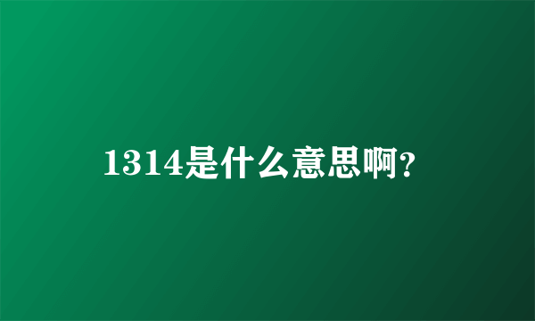 1314是什么意思啊?