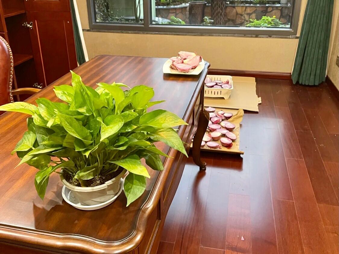 去除甲醛的方法都有什么?