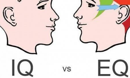 智商的标准是什么?