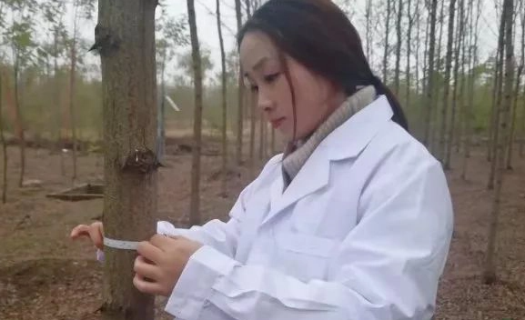 杨倩倩真实年龄