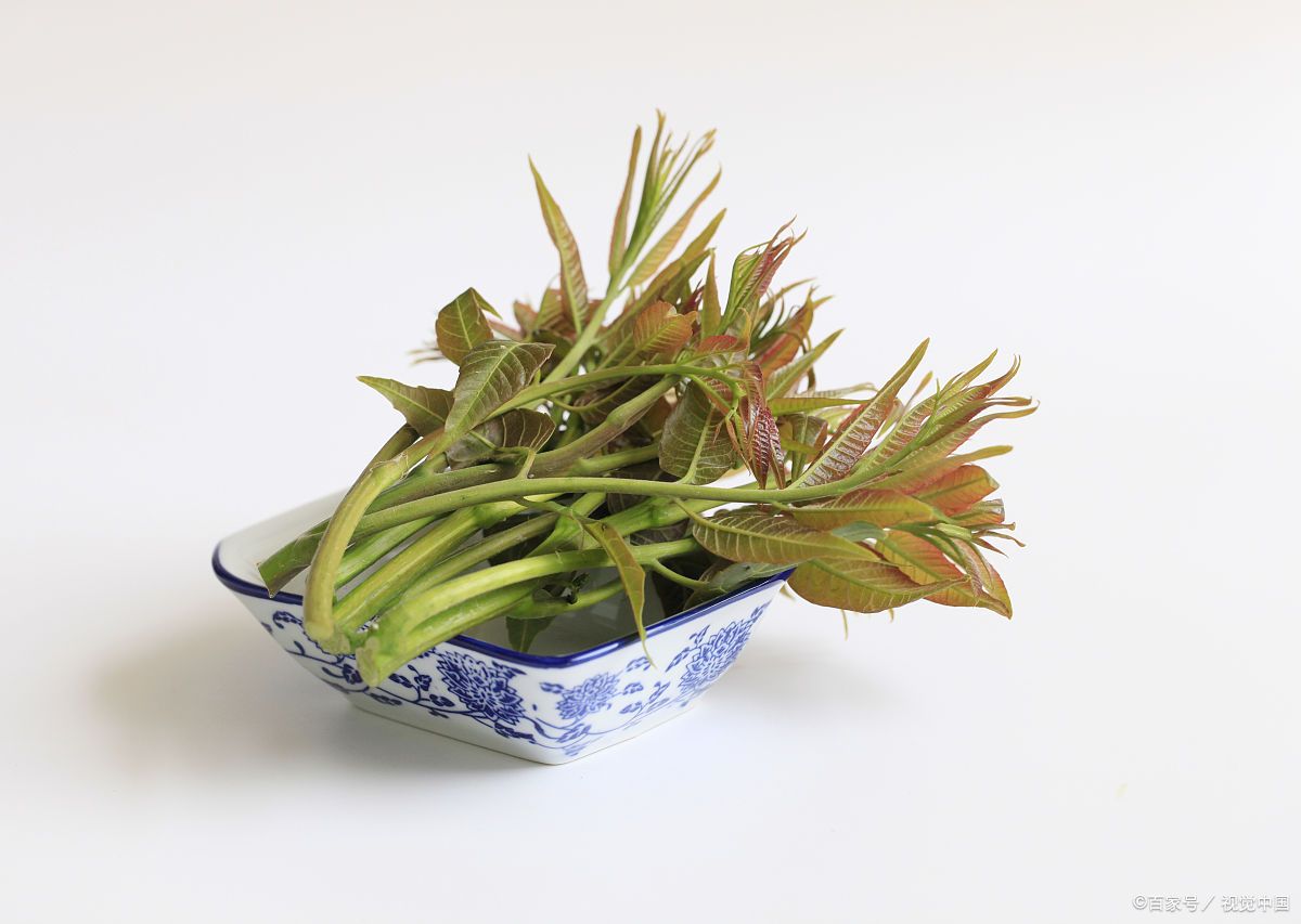 香椿有哪些功效和作用?