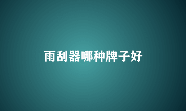 雨刮器哪种牌子好