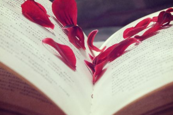 5201314的真正含义是啥意思?