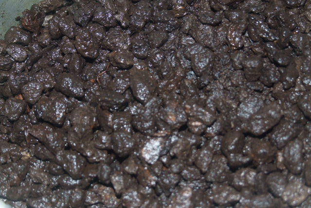 仙土在农村哪里有