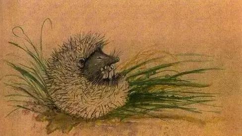 传说当中的东北五大仙,究竟是指的什么?