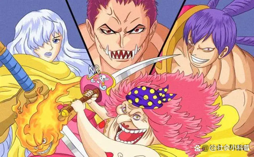 大妈海贼团里,有三颗神级的超人系恶魔果实,你知道是哪三颗吗?