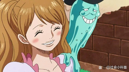 大妈海贼团里,有三颗神级的超人系恶魔果实,你知道是哪三颗吗?