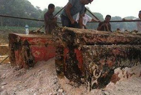 95成都僵尸怎么回事？