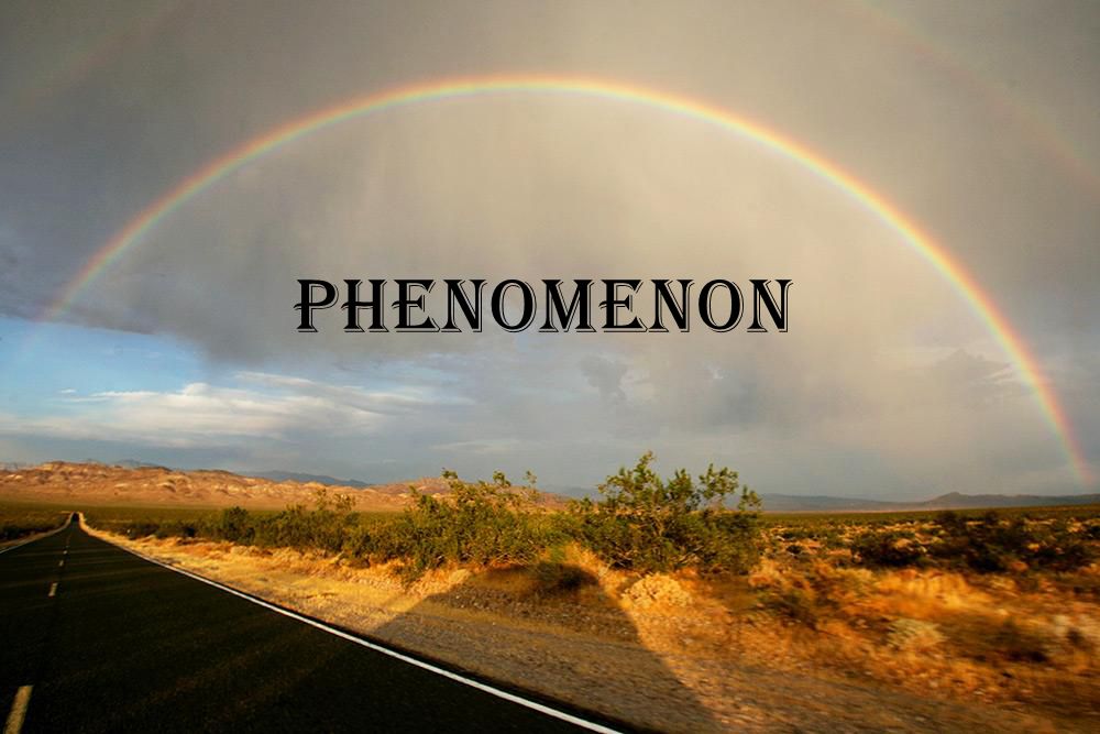 “现象”用英语怎么说?