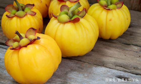 藤黄果的功效与作用有哪些?