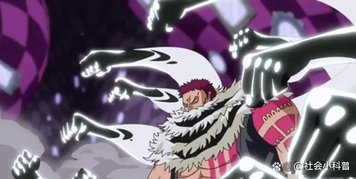 大妈海贼团里,有三颗神级的超人系恶魔果实,你知道是哪三颗吗?