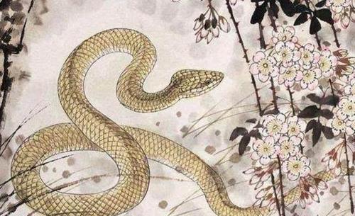 1893年属相是什么