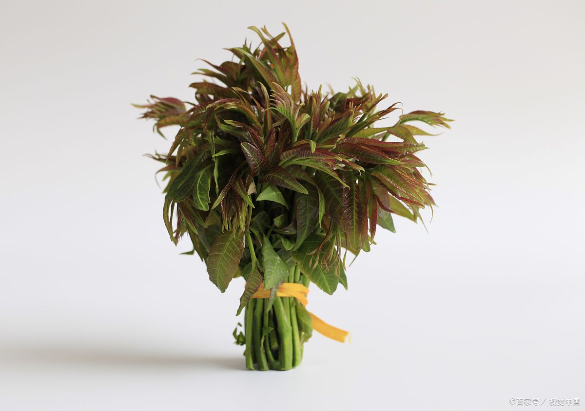 香椿有哪些功效和作用?