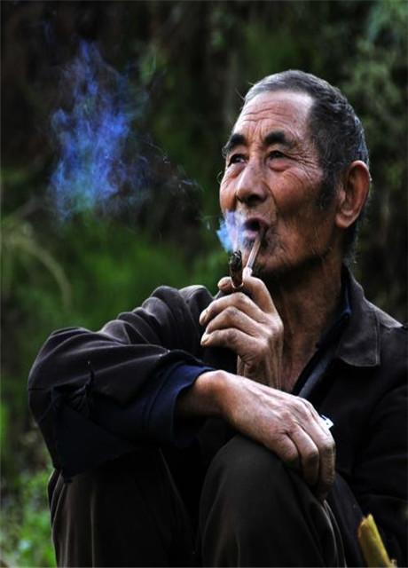 “金香玉”是怎么形成的,为何可遇不可求?