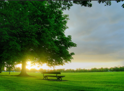 莫宁是什么意思?