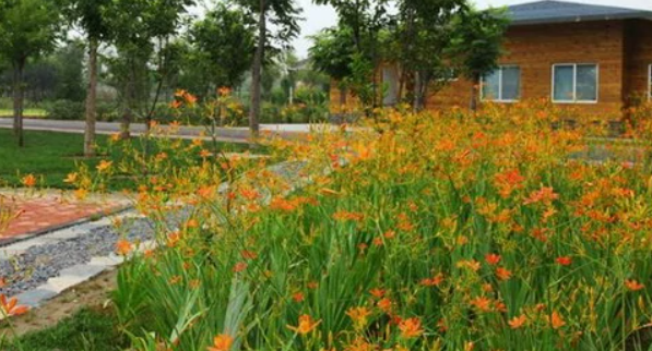 郑州亲子一日游必去的地方有哪些?