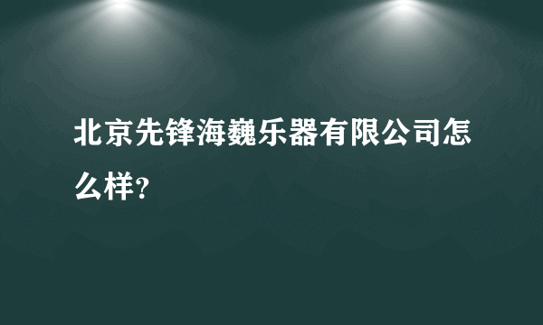 北京先锋海巍乐器有限公司怎么样？