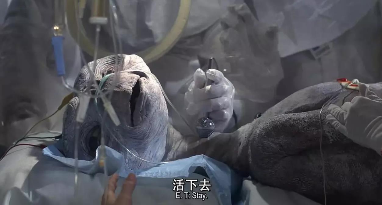 有哪些适合儿童看的电影?