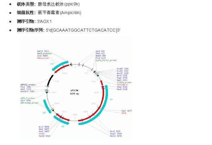 pPIC9K转化酵母时为什么要线性化，不同的酶切位点的产生的线性化的酵母的表性为什么不同？谢谢了