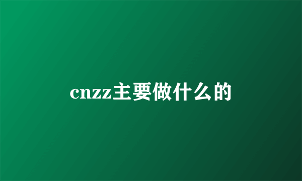 cnzz主要做什么的