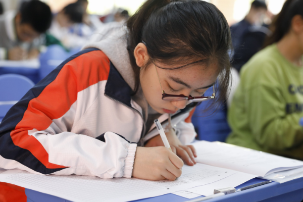 不明白不理解的词语是什么?