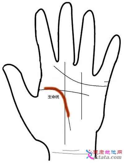 手掌上哪条线是生命线?
