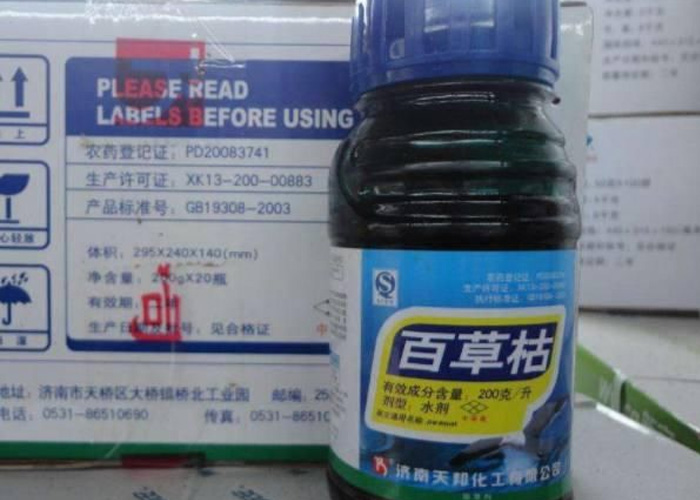 为什么喝了百草枯之后必死无疑？