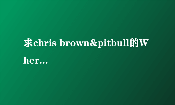 求chris brown&pitbull的Where Do We Go From Here的歌词