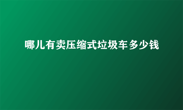 哪儿有卖压缩式垃圾车多少钱