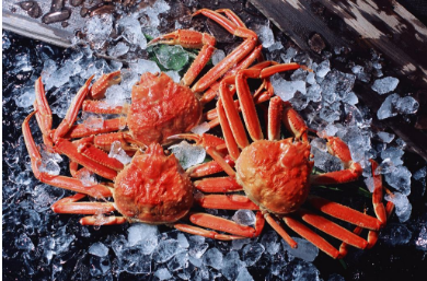 螃蟹放在冰箱冷冻储存可以吗