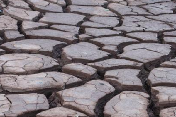 人生四大喜事是什么?