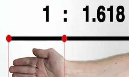 黄金比例是多少?