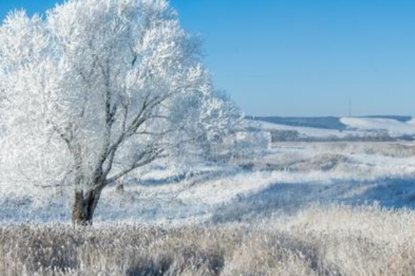 cold是什么意思?