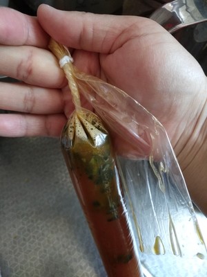 皮蛋肠的做法