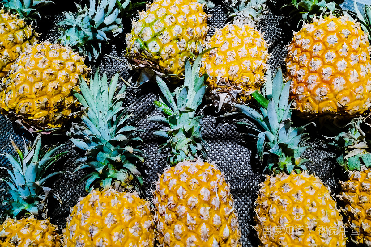 菠萝营养价值