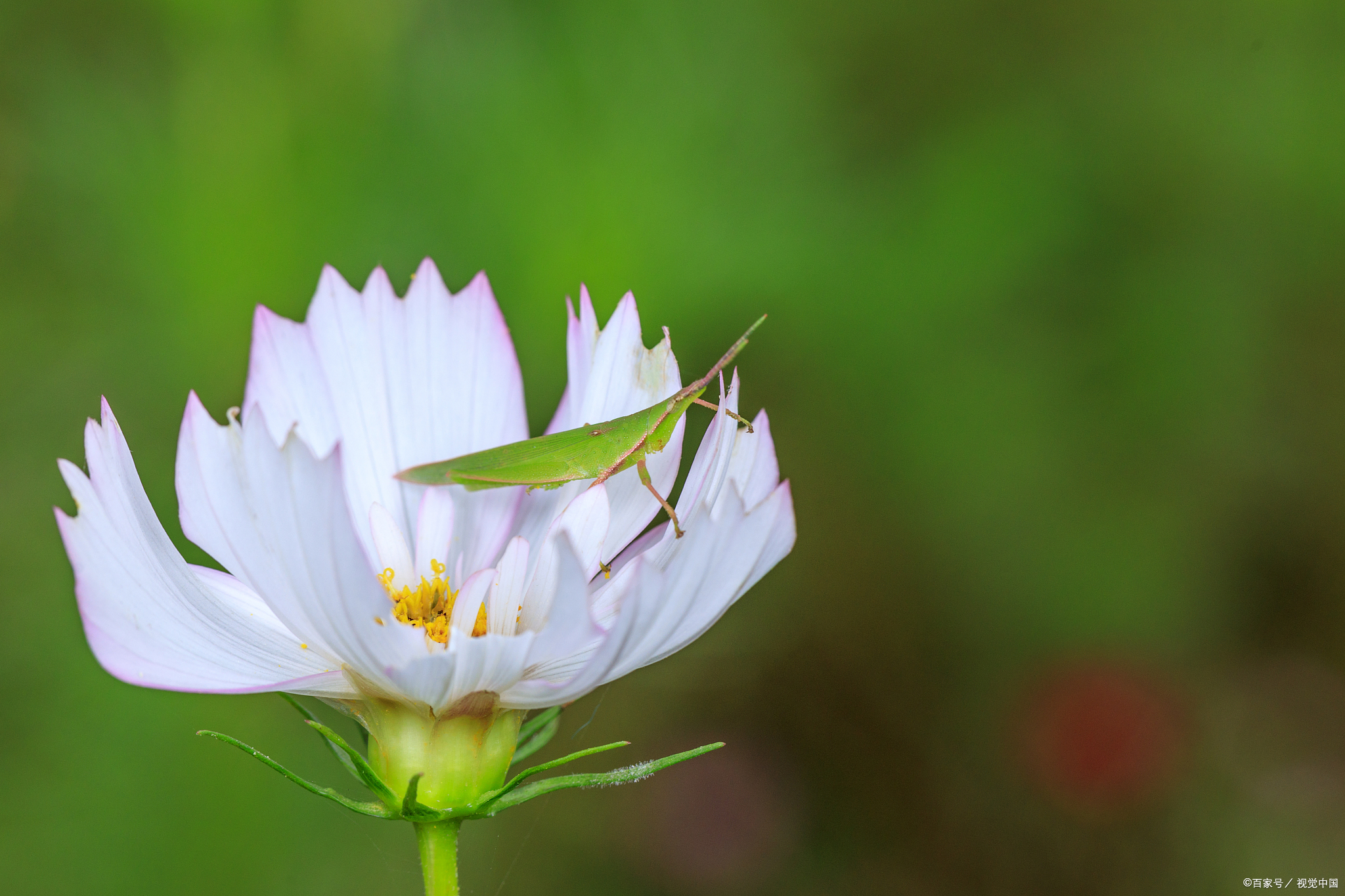 文咏珊演过哪些电影