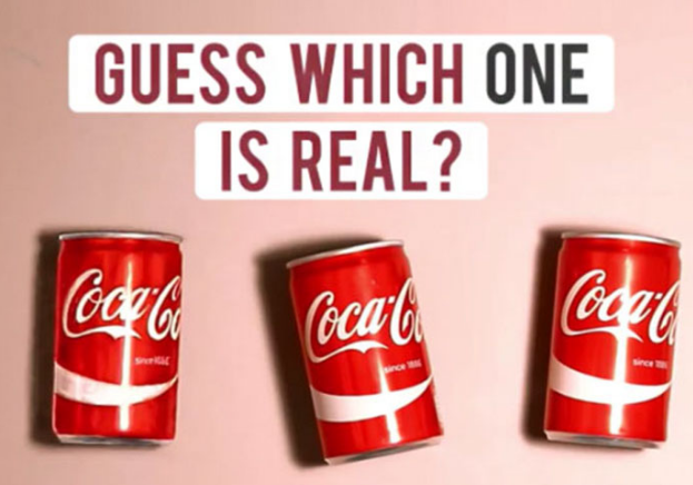 which是什么意思