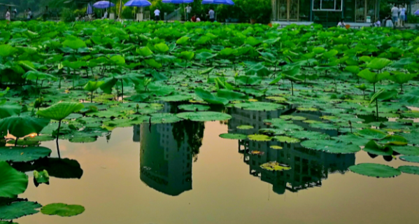 郑州亲子一日游必去的地方有哪些?