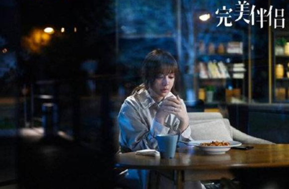 完美伴侣演员表