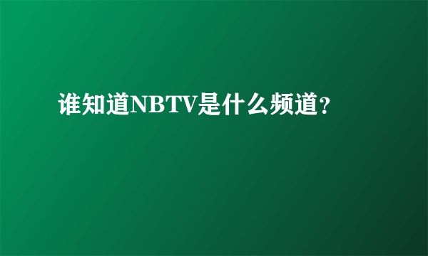谁知道NBTV是什么频道？