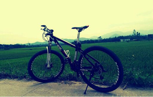 山地车有哪些牌子