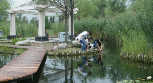 郑州亲子一日游必去的地方有哪些?