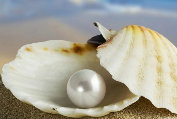 九大仙草是哪几种？