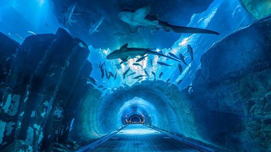 亚特兰蒂斯正在苏醒是什么意思?