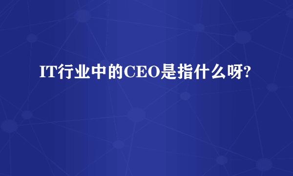 IT行业中的CEO是指什么呀?