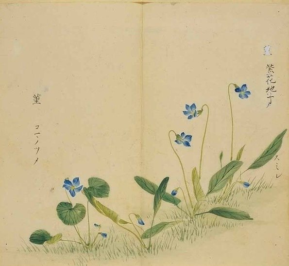 《诗经》是我国第一部诗歌总集，《诗经》里面包括多少首诗?